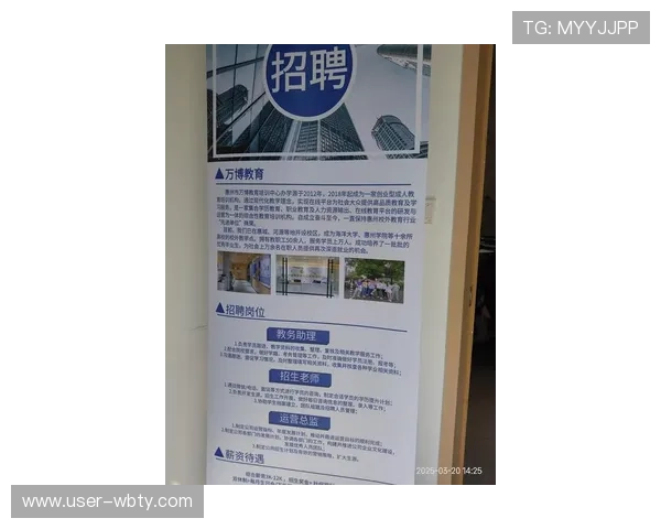 万博官方网站登录：详细步骤与常见问题解决方案解析