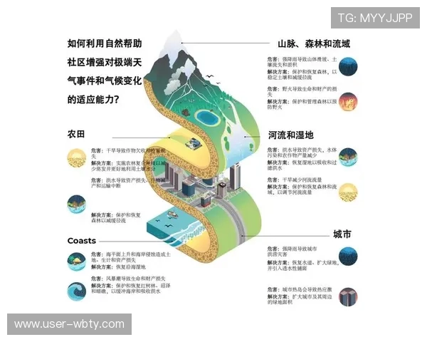 178体育在线登录入口全面解析最新登录流程与常见问题解决方案指南 178体育在线登录入口全面解析最新登录流程与常见问题解决方案指南