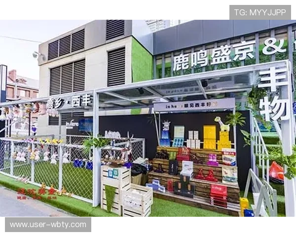 万博足球官网首页最新赛事信息全面解析，助你轻松掌握赛场动态