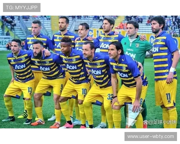 意甲足球官网详细介绍意甲球队阵容、球员信息及比赛数据分析，满足足球迷的深度需求